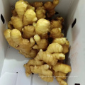 China export natural organic market price fresh ginger